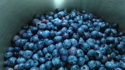 ENAMIFARM blueberry